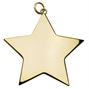 Star 54mm medal thumbnail