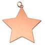 Star 54mm medal thumbnail