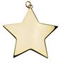 Star 68mm medal thumbnail