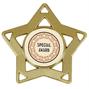 Center Choice Mini Star Medal thumbnail
