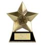 Star Metal Plaque thumbnail