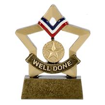 Well Done Mini Star Trophy Award