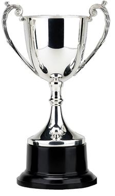 Victory Cup Trophy