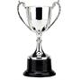 Victory Cup Trophy thumbnail