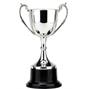 Victory Cup Trophy thumbnail