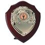 Solo Trimph Presentation Shield thumbnail