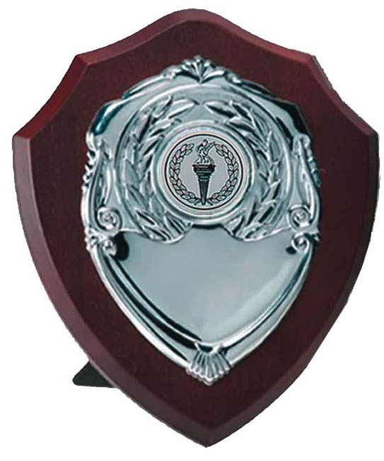 Solo Shield