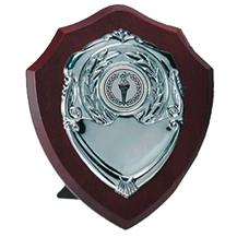 Solo Shield