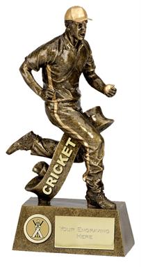Pinnacle Feilding Cricket Trophy