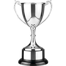 Inexpensive Silverplated Trophies