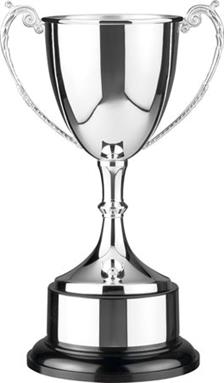 Inexpensive Silverplated Trophies