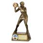 Pinnacle Netball Trophy thumbnail