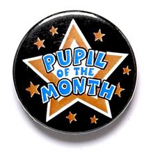 Pupil Of The Month Star Pin Badge