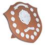 Perpetual Annual Shields thumbnail