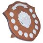 Perpetual Annual Shields thumbnail