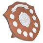 Perpetual Annual Shields thumbnail