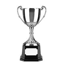 Nickel Plated Trophy