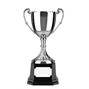 Nickel Plated Trophy thumbnail