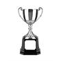 Nickel Plated Trophy thumbnail