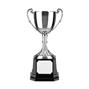 Nickel Plated Trophy thumbnail