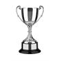 Nickel Plated Trophy thumbnail