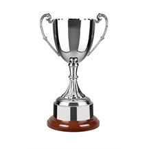 Nickel Plated Trophy