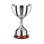 Nickel Plated Trophy thumbnail