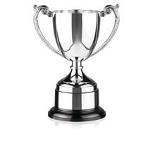 Nickel Plated Trophy