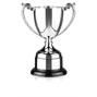 Nickel Plated Trophy thumbnail
