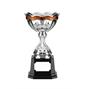 Nickel Plated Trophy thumbnail