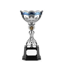 Nickel Plated Trophy