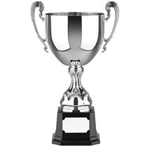 Nickel Plated Trophy