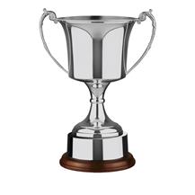 Nickel Plated Trophy