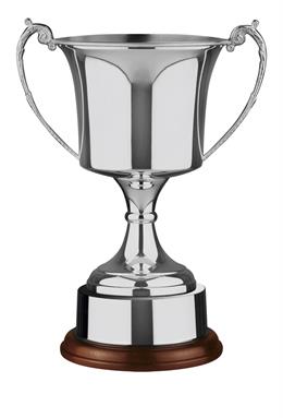 Nickel Plated Trophy