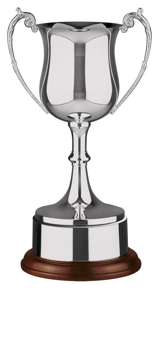 Nickel Plated Trophy
