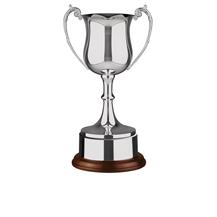 Nickel Plated Trophy