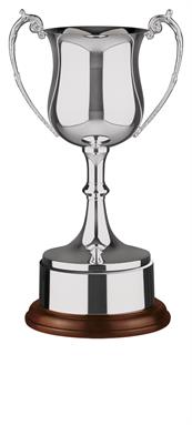 Nickel Plated Trophy