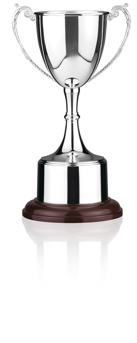 Silver Plated Trophy