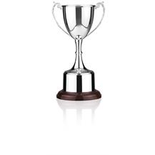 Silver Plated Trophy