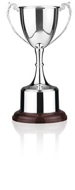 Silver Plated Trophy
