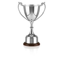 Silver Plated Trophy