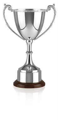 Silver Plated Trophy