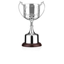 Silver Plated Trophy