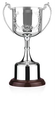 Silver Plated Trophy