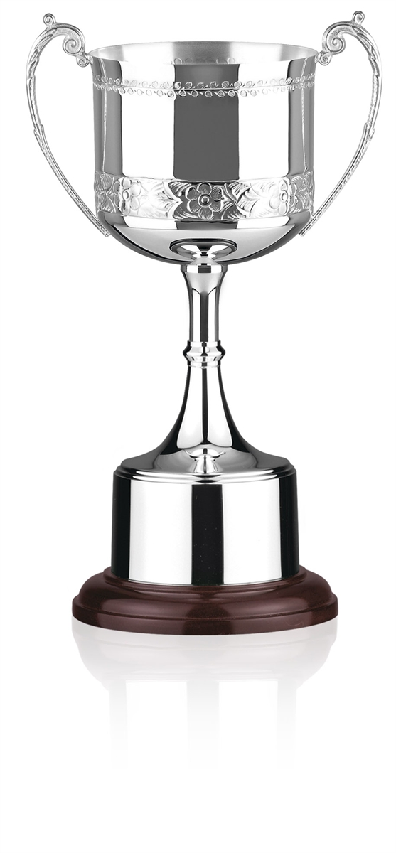 Silver Plated Trophy