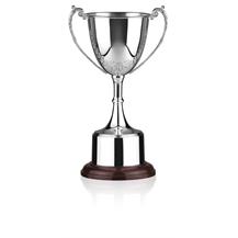 Silver Plated Trophy