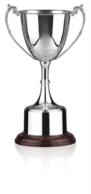 Silver Plated Trophy
