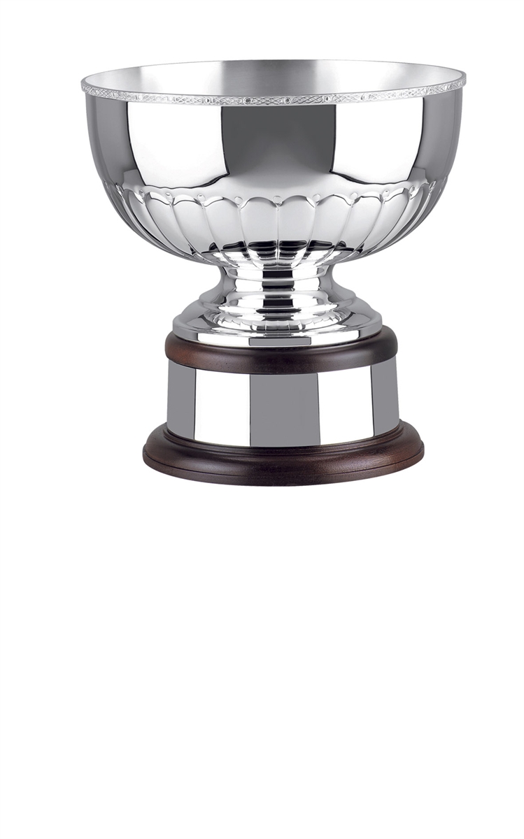 Silver Plated Trophy