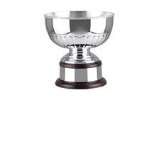 Silver Plated Trophy