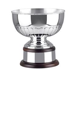 Silver Plated Trophy